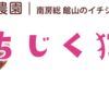 いちじく狩りはいかがでしょうか？