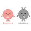 コレステロールに関する雑学