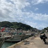 57日目