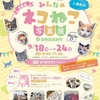 第6回みんなのネコねこ写真展！9月18日から開催します＠屋代駅