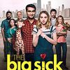 映画 The Big Sick を見た。幸せ劇場体験『ビッグ・シック ぼくたちの大いなる目ざめ』