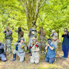 #鳥取　#キャンプ場　#バンガロー　#ペット宿泊可　鳥取市安蔵森林公園　キャンプ場　バンガローは、２０２６年６月２７日（土）より、再開園します！