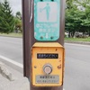 How to use Japanese Crosswalk Pushbutton Traffic Lights? - Traffic Rules in Japan