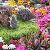 『よこはま花と緑のスプリングフェア2025・花壇展』観賞【山下公園】