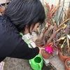 土屋薬局は日曜、祝日が定休となります。