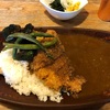 赤磐 カレーの店 アウル スパイシーで美味い