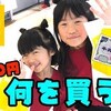 11月4日の動画