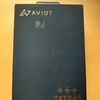 AVIOT「TE-D01q」パワフルな低音でボーカルも聞き取りやすいチューニング!! 