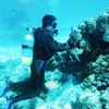 沖縄2006　ダイビング　その5