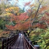 花貫渓谷紅葉　汐見滝吊橋