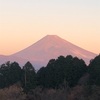 今朝の景色