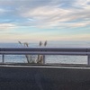 キャンプは楽しい。 S716