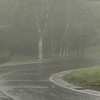 霧そして雨。