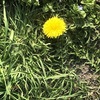 春に扇風機を使いだす友人