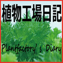 植物工場日記 Plantfactory’s Diary