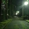のんびりジョグと左ひざの違和感