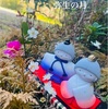 3月、私らしくと🐞