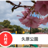 【久原公園】長崎県大村市の河津桜が最高！今年は見頃大幅遅れ。満開は？
