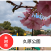 【久原公園】長崎県大村市の河津桜が最高すぎる。今年も行ってきました！