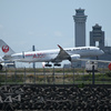 京浜島つばさ公園に飛行機を見に行った