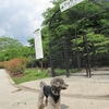 ・初夏の旅〜！(PAPAラン・DIOラン in 湯川ふるさと公園編）