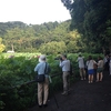 三溪園の朝の蓮、元町公園プール、清澄白河、根津美術館、ドンペリ山口晃、そして豚肉とビール