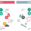 五行の相生と相克