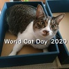 8月8日、世の中の猫さんに思いを馳せる。【世界猫の日2020】