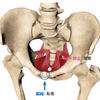 尾骨が痛いんですけど。。
