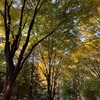 南山野外植物園