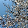 大学生活スタート