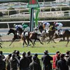 去りゆく馬、これからの馬。