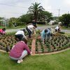 花壇ボランティアの皆さんありがとうございます