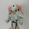 フレームアームズ·ガール 白虎 塗装完成!