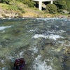 10/2      納竿釣行in郡上