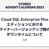 Cloud SQL Enterprise Plus エディションにおけるマイナーバージョンアップ時のダウンタイムについて