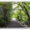 勘八稲荷大明神　：　豊田市平戸橋町波岩