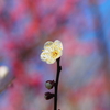 2020年2月9日 不動山（日帰り）