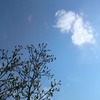 家づくりが止めれない!?
