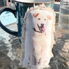 2023年3月1日🐾 今日のマヤ暦