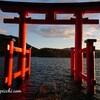 箱根観光１日目　箱根関所・箱根神社～食物アレルギーと旅行・バイキング～