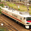 京葉臨海鉄道検測、255系2本、他。