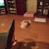 重い腰を上げる