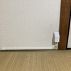 三連休のあれこれ