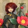 doll plofile