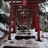 <山行記録> 初登りは千歳山  ～新しい靴を履いて～ 2019.1.11