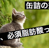 缶詰の驚くべき効果、ダイエットや健康な食生活に活用しよう