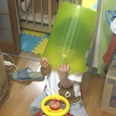 エビリッコＮＥＷＳ