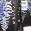 千早茜さんの『しろがねの葉』