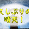 久しぶりの晴天に庭作業をしていて気づいたかもしれない副作用の事